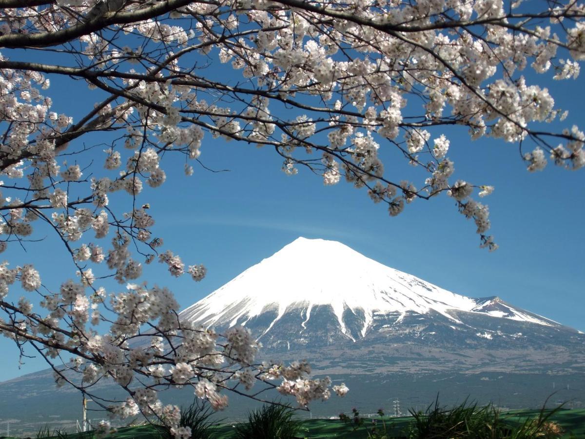 פוג'י Fuji-Shi Business Hotel Furuiya Ryokan מראה חיצוני תמונה
